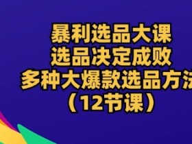 暴利选品大课：选品决定成败，教你多种大爆款选品方法(12节课)-天天学吧