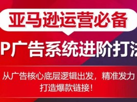 亚马逊运营必备： SP广告的系统进阶打法，从广告核心底层逻辑出发，精准发力打造爆款链接-天天学吧