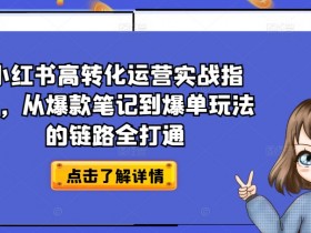 小红书高转化运营实战指南，从爆款笔记到爆单玩法的链路全打通-天天学吧