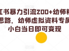 小红书暴力引流200+幼师粉独家思路，幼师虚拟资料专属，小白当日即可变现-天天学吧