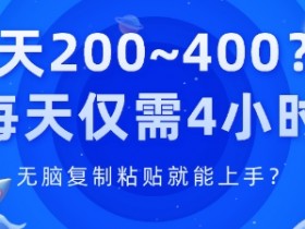 1天200~400?每天仅需4小时，无脑复制粘贴就能上手?-天天学吧