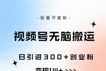 视频号无脑搬运日引300+创业粉，变现1W+可批量复制-天天学吧