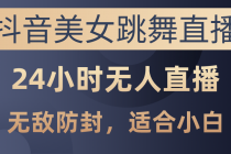 抖音美女跳舞直播，日入3000+，24小时无人直播，无敌防封技术，小白最…-天天学吧