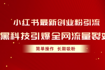 小红书最新创业粉引流，黑科技引爆全网流量裂变，简单操作长期吸粉-天天学吧