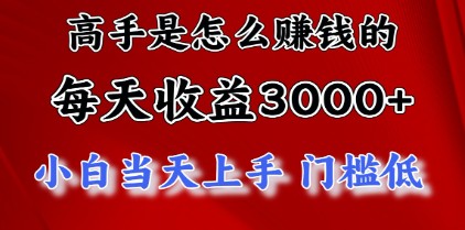 高手日赚3000+的秘诀揭秘：穷人逆袭的黄金项目-天天学吧