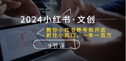 2024年小红书创业攻略：养号技巧、开店指南与文创市场趋势分析(9节课) -天天学吧