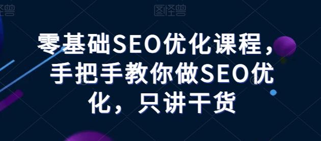 图片[1]-零基础SEO优化课程，手把手教你做SEO优化，只讲干货-天天学吧