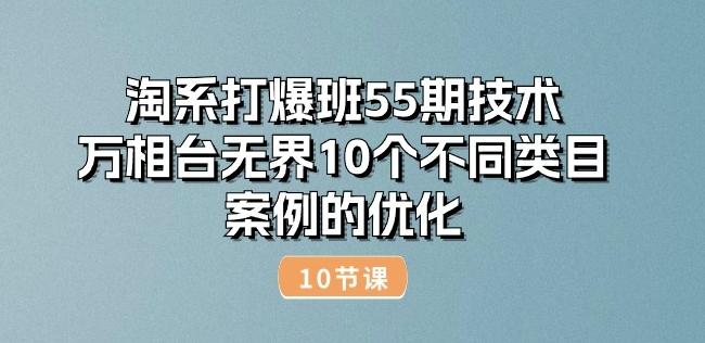 图片[1]-淘系打爆班55期技术：万相台无界10个不同类目案例的优化(10节)-天天学吧