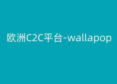 图片[1]-欧洲C2C平台-wallapop-kim跨境电商教程-天天学吧