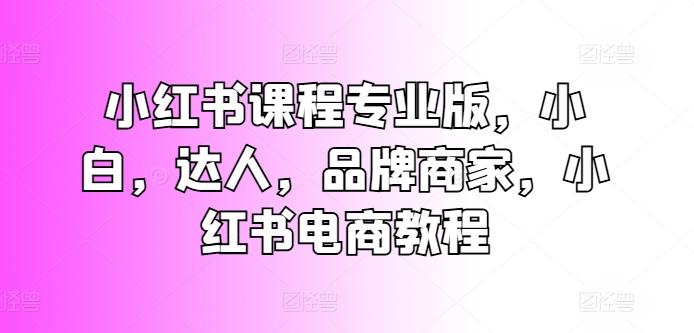 图片[1]-小红书课程专业版，小白，达人，品牌商家，小红书电商教程-天天学吧