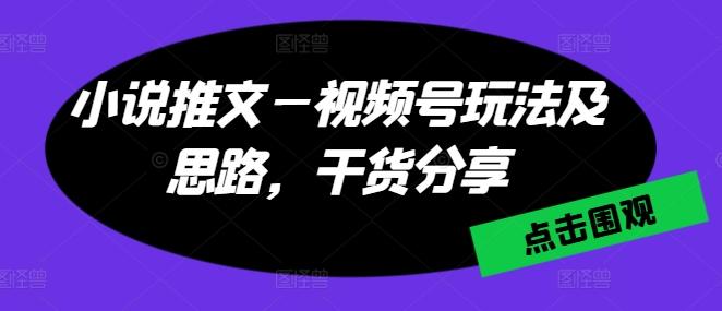 图片[1]-小说推文—视频号玩法及思路，干货分享-天天学吧