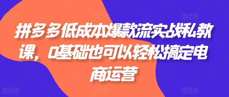 图片[1]-拼多多低成本爆款流实战私教课，0基础也可以轻松搞定电商运营-天天学吧