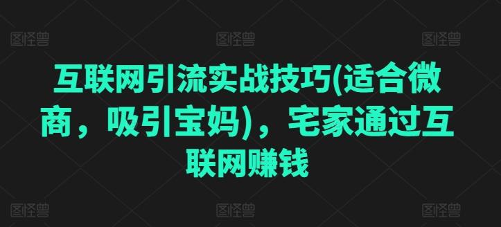 图片[1]-互联网引流实战技巧(适合微商，吸引宝妈)，宅家通过互联网赚钱-天天学吧