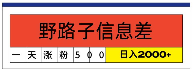 图片[1]-最新《1000个野路子信息差》新玩法，文字视频，单个作品暴粉5000+，小白轻松上手-天天学吧