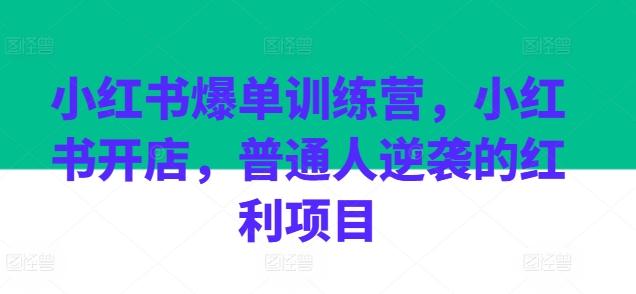 图片[1]-小红书爆单训练营，小红书开店，普通人逆袭的红利项目-天天学吧