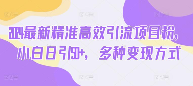 图片[1]-2024最新精准高效引流项目粉，小白日引50+，多种变现方式-天天学吧