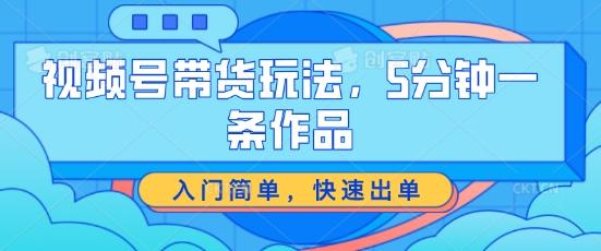 图片[1]-视频号带货玩法，5分钟一条作品，入门简单，快速出单【揭秘】-天天学吧