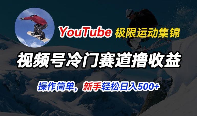 图片[1]-视频号冷门赛道撸收益，YouTube搬运极限运动集锦，暴力起号，操作简单流量高，轻松日入5张【揭秘】-天天学吧