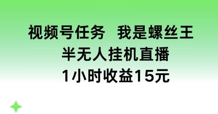 图片[1]-视频号任务，我是螺丝王， 半无人挂机1小时收益15元【揭秘】-天天学吧