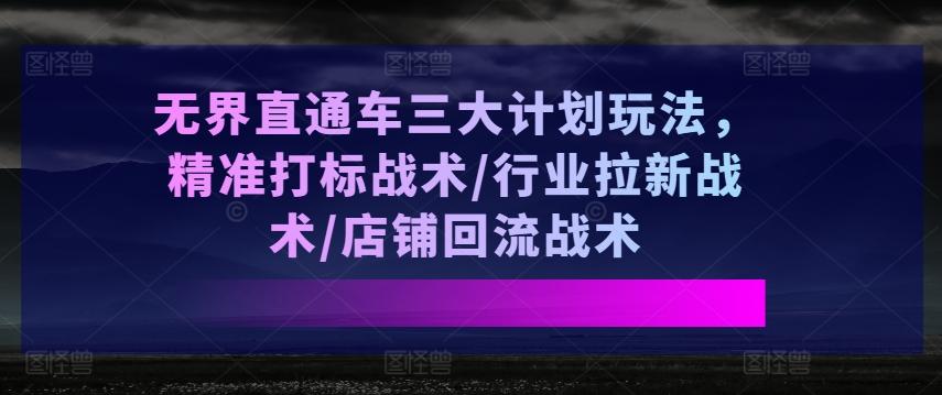 图片[1]-无界直通车三大计划玩法，精准打标战术/行业拉新战术/店铺回流战术-天天学吧