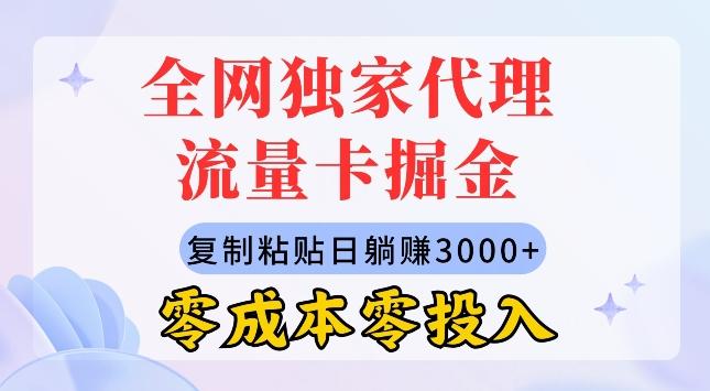 图片[1]-全网独家代理流量卡掘金，复制粘贴，零成本零投入，新手小白有手就行-天天学吧