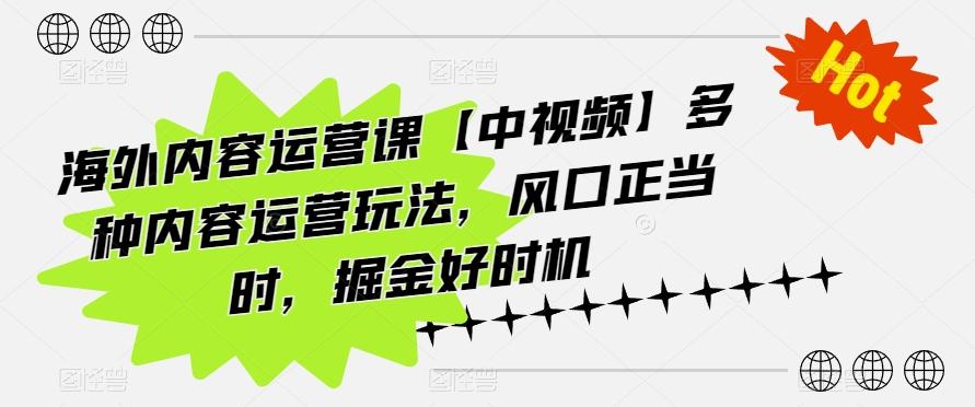 图片[1]-海外内容运营课【中视频】多种内容运营玩法，风口正当时，掘金好时机-天天学吧