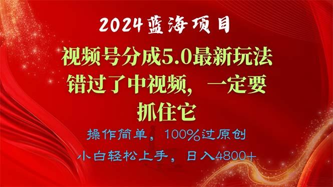 图片[1]-2024蓝海项目，视频号分成计划5.0最新玩法，错过了中视频，一定要抓住…-天天学吧