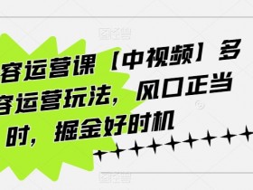 海外内容运营课【中视频】多种内容运营玩法，风口正当时，掘金好时机-天天学吧