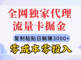 全网独家代理流量卡掘金，复制粘贴，零成本零投入，新手小白有手就行-天天学吧