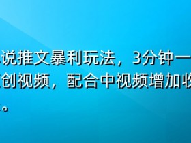 小说推文暴利玩法，3分钟一条原创视频，加入中视频计划多一份收益-天天学吧