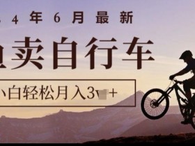 2024年6月最新闲鱼卖自行车，新手小白轻松月入1w+，无风险项目-天天学吧