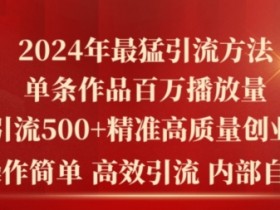 2024年最猛暴力引流方法，单条作品百万播放 单日引流500+高质量精准创业粉-天天学吧