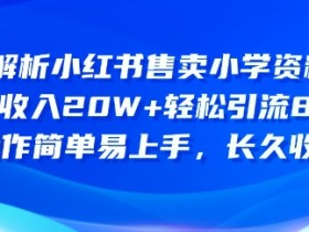 深度解析小红书售卖小学资料项目，操作简单易上手，长久收益-天天学吧