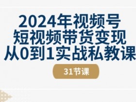 2024年视频号短视频带货变现从0到1实战私教课(31节视频课)-天天学吧