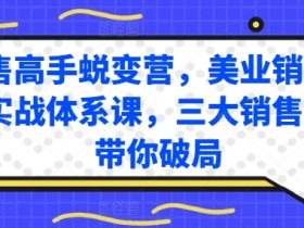 销售高手蜕变营，美业销售高手实战体系课，三大销售体系带你破局-天天学吧