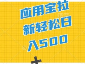 2024应用宝拉新项目，新手小白宝妈直接上手，真正的蓝海项目-天天学吧