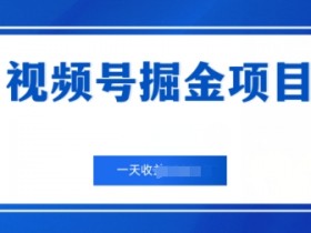 视频号掘金项目，通过制作机车美女短视频 一天收益几张-天天学吧