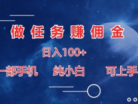 做任务赚佣金日入100+，一部手机纯小白即可上手-天天学吧