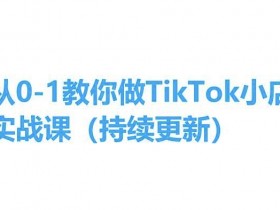 从0-1教你做TikTok小店实操课(持续更新)，手把手教你，简单易学-天天学吧