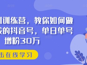 抖音实训训练营，教你如何做一个赚钱的抖音号，单日单号增粉30万-天天学吧