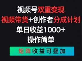 视频号双重变现，视频带货+创作者分成计划 , 操作简单，矩阵收益叠加【揭秘】-天天学吧