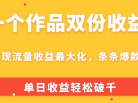 一个作品双份收益，实现流量收益最大化，条条爆款，单日收益轻松破千-天天学吧