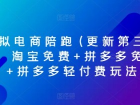 虚拟电商陪跑(更新第三期)，淘宝免费+拼多多免费+拼多多轻付费玩法-天天学吧