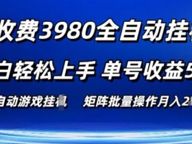 外面收费3980游戏自动搬砖项目 小白轻松上手 单号收益50+ 可批量操作【揭秘】-天天学吧