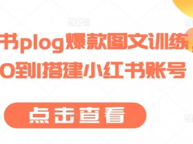 小红书plog爆款图文训练，从0到1搭建小红书账号-天天学吧