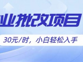 批改作业项目，30元时，简单容易上手，适合宝妈，大学生-天天学吧