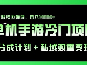 单机手游冷门赛道，分成计划+私域双重变现，边玩游戏边赚钱-天天学吧