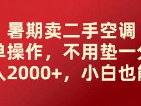 暑期卖二手空调简单操作，不用垫一分钱日入2000+，小白也能做-天天学吧