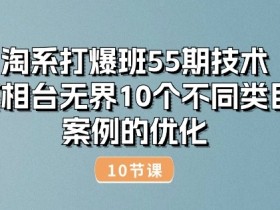 淘系打爆班55期技术：万相台无界10个不同类目案例的优化(10节)-天天学吧