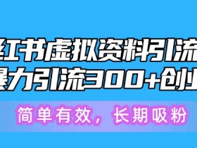 小红书虚拟资料引流术，日暴力引流300+创业粉，简单有效，长期吸粉-天天学吧